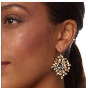 Alexis Bittar Earrings